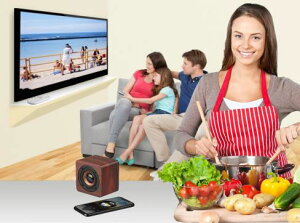 TV-S01 ƃCXTVXs[J[yNz