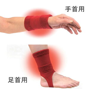 yɎg10N[|zzzՂ̎EwXupEp@e2ZbgvyzMƉAd3̌ʁIssǂ̕ɂIՐ