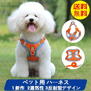 yz L n[lX n[lX pn[lX ybg  { XgCv փ[ht ̃n[lX [h q ^ ^  킢