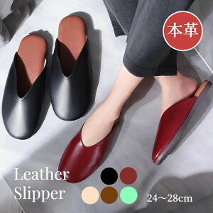 Xbp {v H~ fB[X Y {rv U[Xbp _炩 [V[Y [Xbp ItBX V[vXL U[ _ 㗚 \tg Snǂ É 