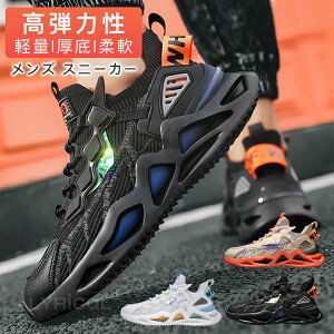 jOV[Y Y WMOV[Y ^C Xj[J[ ʋC y EH[LO JWA L h I[V[Y ʊw ʋ d   I t@bV