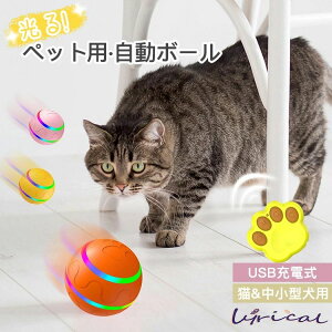  L {[   d{[ {[ S  {[ ЂƂV {[   ybgp USB[d ybgp{[  ybgp{[ ^s 
