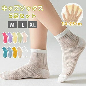 q C WjA LbY 5Zbg bV\bNX LbYC X|[c tBbg j̎q ̎q w14 17 18 20 22 cm w ǂ qǂ 5g jq q ^ ڗ o ʉ ʊw 