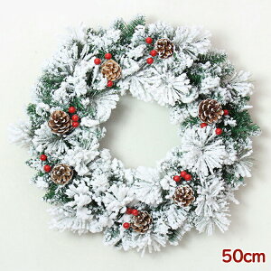 NX}X[X 50cm 傫 Ǌ| փ[X k t[[X H ڂ ؂̎ ቻ փhA Ǐ i`  ԗ  ؂₩  CeA X 