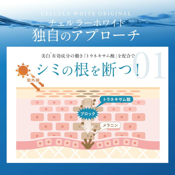 楽天市場】チェルラーホワイト モイスチャー 50g（約2か月分） 薬用 