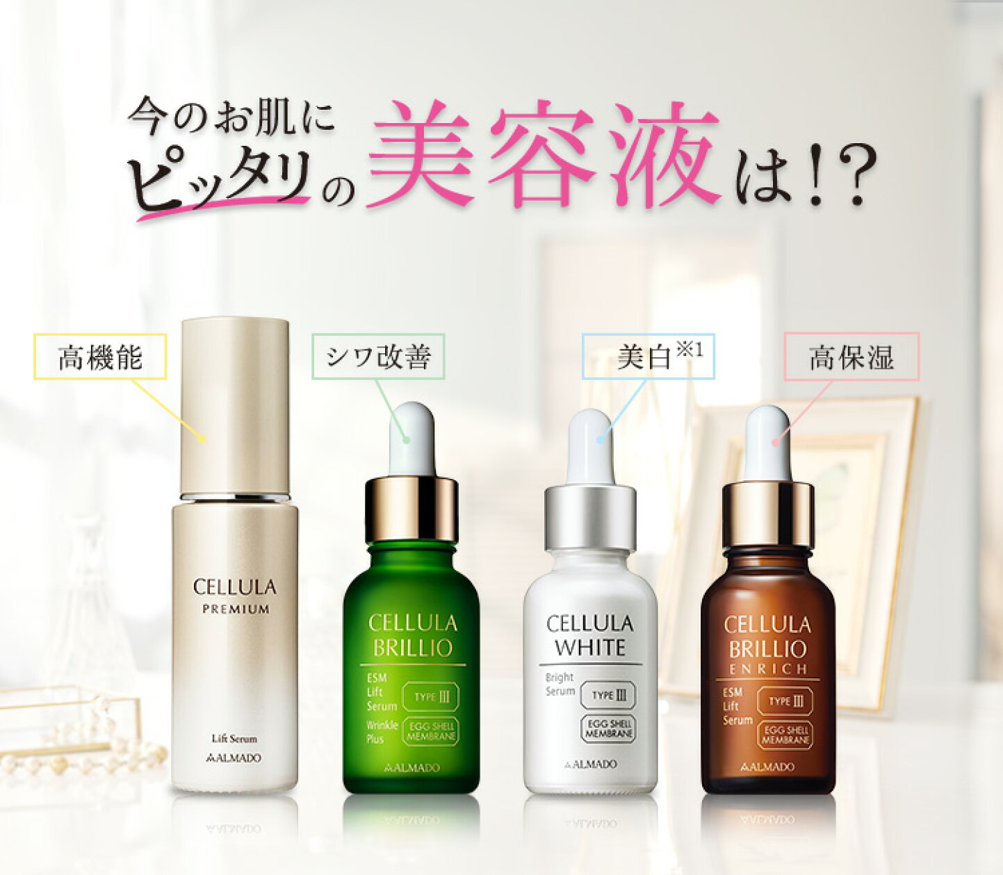 楽天市場 | アルマード公式ショップ楽天市場店 - チェルラーシリーズ 