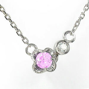 y15%OFFN[|zuXbg sNTt@CA 9 a  t[  v`i J[Xg[ NX}X v[g Xmas ԈȊO ޏ  蕨 2025