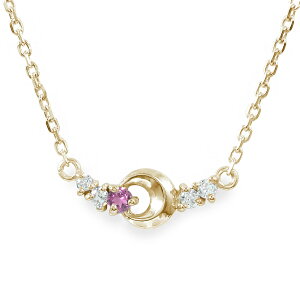 y10%OFFN[|zuXbg sNTt@CA J[Xg[ 10 ، 9 a  NX}X v[g Xmas ԈȊO ޏ  蕨 2025