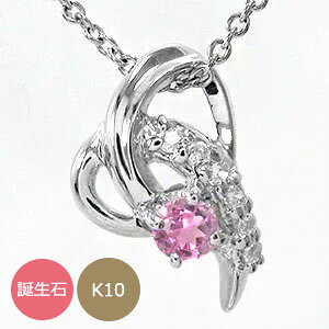 lbNX 10 n[g fB[X k10 10k a _Ch J ꐯ y_g  v[g ԈȊO ޏ  蕨 2025