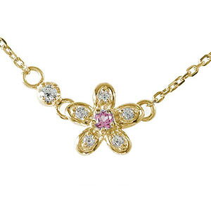 y20%OFFN[|zlbNX 10 a sNg} 10  ꐯ J[Xg[ v`y_g NX}X v[g Xmas ԈȊO ޏ  蕨 2025