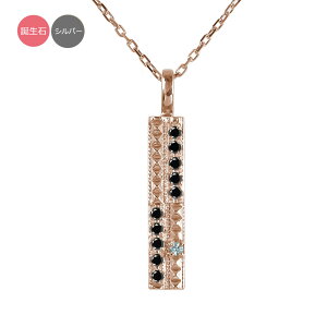 Vo[ Y lbNX X^bY a _Ch ubN_Ch sv e т傤 Xg[g 蕨  SILVER y_g WG[ NX}X v[g Xmas 