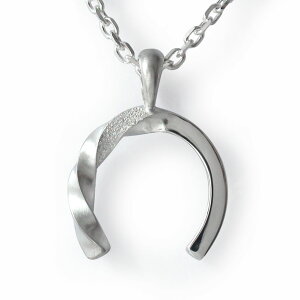 Y lbNX Vo[950 iW CfBAWG[ silver n X^[_Xg  cCXg I JWA b  nhCh tH[} jp jZbNX ANZT