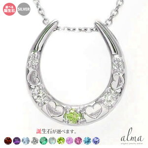 lbNX Vo[925 n n[g fB[X silver X^[OVo[ jZbNX a LO NX}X v[g Xmas  y_g ԈȊO ޏ  蕨 2025 