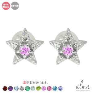 yX[p[Z[ 10offzVo[ X^[sAX _Ch  fB[X X^[`[t silver925 ꐯ X^[OVo[ a NX}X v[g Xmas ԈȊO ޏ  