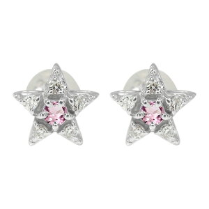 y20%OFFN[|zsAX v`i sNg} X^[  10 a NX}X v[g Xmas ԈȊO ޏ  蕨 2025