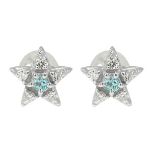 y20%OFFN[|zsAX v`i u[gp[Y X^[  11 a NX}X v[g Xmas ԈȊO ޏ  蕨 2025