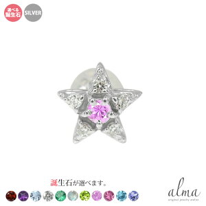 sAX Ў X^[ Vo[  fB[X _Ch ЎsAX silver925 X^[OVo[ a v[g ԈȊO ޏ  蕨 2025