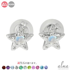 yX[p[Z[ 10offzVo[ sAX X^[  fB[X X^[`[t silver925 ꐯ  X^[OVo[ a NX}X v[g Xmas ԈȊO ޏ  蕨 202