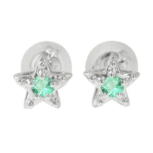 sAX v`i Gh X^[  5 a v[g ԈȊO ޏ  蕨 2025