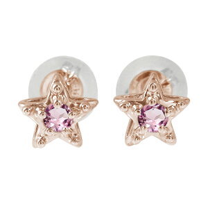 y20%OFFN[|zsAX X^[  18 sNg} 10 a NX}X v[g Xmas ԈȊO ޏ  蕨 2025