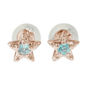 y20%OFFN[|zsAX X^[  18 u[gp[Y 11 a NX}X v[g Xmas ԈȊO ޏ  蕨 2025