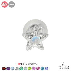 yX[p[Z[ 10offzsAX Ў X^[  ЎsAX silver Vo[925 X^[OVo[ a NX}X v[g Xmas ԈȊO ޏ  蕨 2025