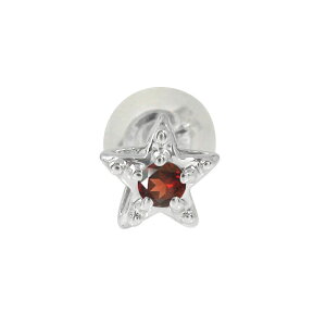 ピアス 片耳 プラチナ ガーネット スター 星 片耳ピアス 1月 誕生石 プレゼント 花以外 彼女 妻 贈り物 2025