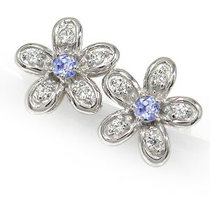 y20%OFFN[|zsAX ^UiCg t[`[t _Ch  v`i 12 a tBI? NX}X v[g Xmas ԈȊO ޏ  蕨 2025