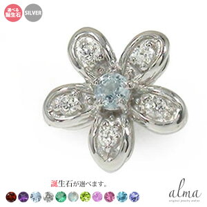 t[`[t ЎsAX _Ch  silver Vo[925 X^[OVo[ tBI? a  v[g ԈȊO ޏ  蕨 2025