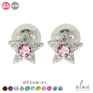 yX[p[Z[ 10offzVo[ sAX X^[  fB[X _Ch X^[`[t ꐯ  silver925 X^[OVo[ a NX}X v[g Xmas ԈȊO 