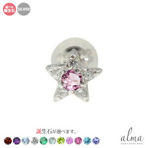 Vo[ sAX Ў X^[  _Ch fB[X ЎsAX silver925 X^[OVo[ a v[g ԈȊO ޏ  蕨 2025