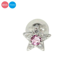 v`i pt900 sAX Ў X^[  fB[X _Ch a ЎsAX X^[`[t NX}X v[g Xmas ԈȊO ޏ  蕨 2025