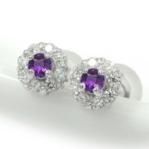 y20%OFFN[|zsAX AWXg 芪 t[`[t _Ch  v`i 2 a NX}X v[g Xmas ԈȊO ޏ  蕨 2025