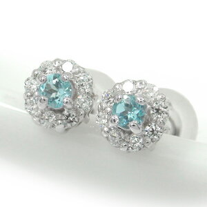 y20%OFFN[|zsAX u[gp[Y 芪 t[`[t _Ch  v`i 11 a NX}X v[g Xmas ԈȊO ޏ  蕨 2025