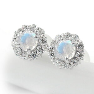 y10OFFN[|zsAX u[[Xg[ 芪 t[`[t _Ch  v`i 6 a NX}X v[g Xmas ԈȊO ޏ  蕨 2025