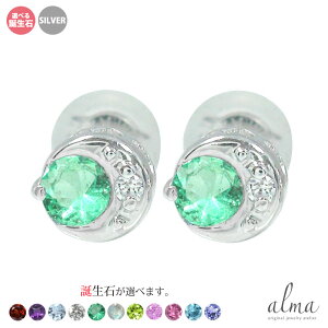  z n sAX silver Vo[925 X^[OVo[ a v[g ԈȊO ޏ  蕨 2025