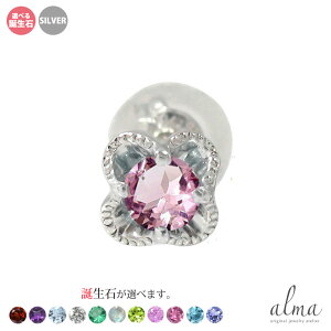  t[`[t ЎsAX silver Vo[925 X^[OVo[ a v[g ԈȊO ޏ  蕨 2025