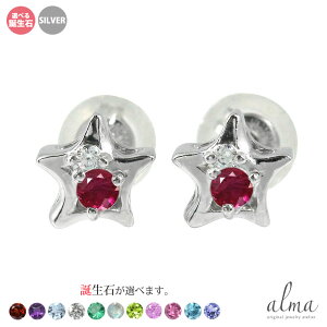 yX[p[Z[ 10offzsAX Vo[ fB[X Ԑ silver925  X^[`[t _Ch X^[OVo[ a NX}X v[g Xmas ԈȊO ޏ  蕨 2