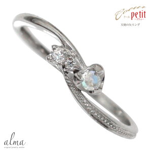 y15%OFFN[|zv`i O u[[Xg[O sL[ fB[X _Ch Vg̖ 6 a w gW[O pt900  NX}X v[g Xmas