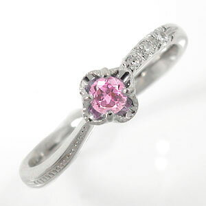 y15%OFFN[|zO sNg} t[O 18 w ԃ`[t sL[O fB[X jZbNX a LO 蕨 NX}X v[g Xmas Mtg Cara 