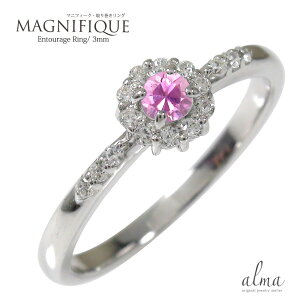 O sNTt@CA v`i  }jtB[N ~ w 芪 9 a sL[ AeB[N v[g ԈȊO ޏ  蕨 2025