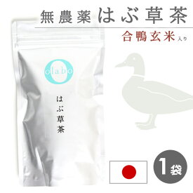 国産 無農薬 はぶ草茶 ハブ草茶 はぶ茶 ハブ茶 更年期 玄米茶 漢方茶 お茶 眼精疲労 便秘 改善 無化学肥料 粉砕 ティーパック ティーバッグ 個包装 【はぶ草茶】 by:Olaboメール便 ※返品交換不可