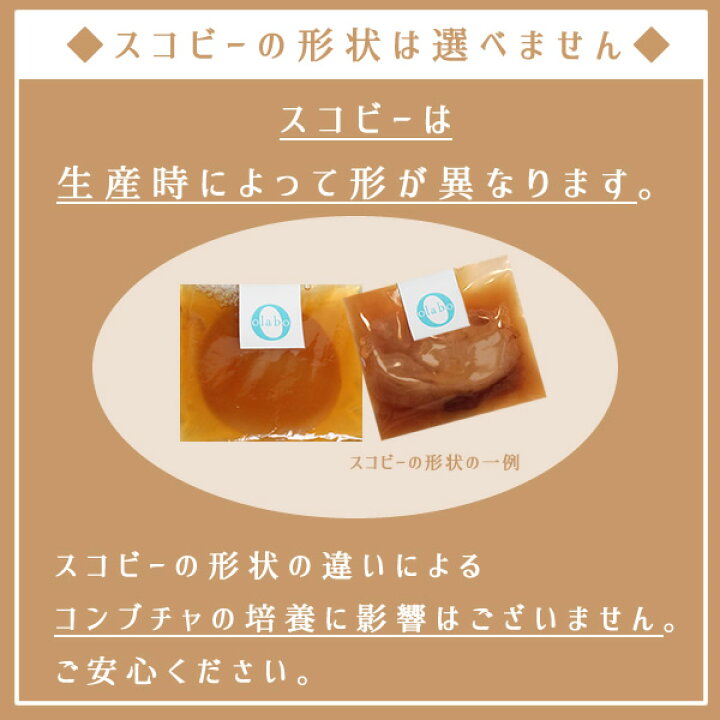 コンブチャスコビー✧コンブチャ✧紅茶キノコ