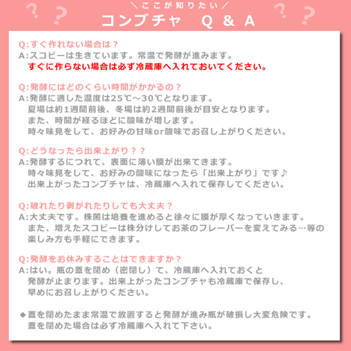 楽天市場】各種クーポン☆配布中！コンブチャ キット スターター