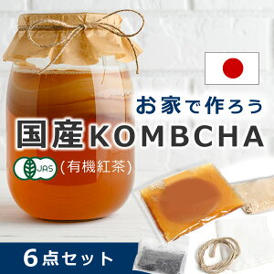 eN[|zzIRu` Lbg X^[^[Lbg XRr[ XR[r[ gLmR ĝ }U[ Ԓ kombucha   ۊ |{ Lbg yf _ t[