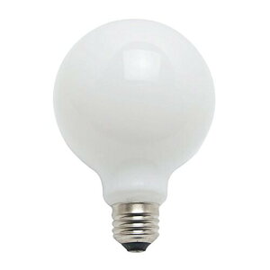 mCebN {[dq95mma zCgr60W`2Zbg(d2g) E26 TC-GW100V54WG95 1P - 2Zbg