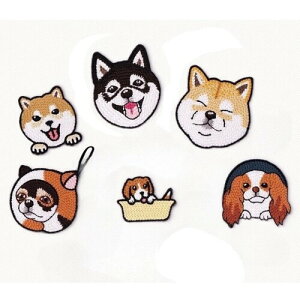 JYF.QUANYI Lƌ by AC AbvP ̎q q  hbO Lbg hJ  킢 (i6_Zbgj)