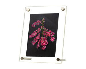 n[cXAR ᔽ UVJbg ANtHgt[ ʐ^ L X^h^Cv