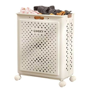 NXJS h[ oXPbg 󂩂 h[ oXPbg ܂ X JS ܂肽  ܏ LX^[t t e h[{bNX 󕨓 3