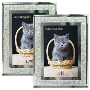 ʐ^  LŃTCY̎ʐ^ KX LL tHgt[ Vv tHgfBXvC 2Zbg Ǌ|s